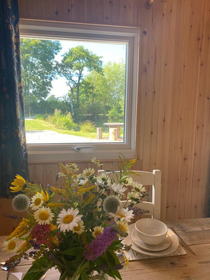 Kingfisher Cabin - Wild Escapes Wrenbury Off Grid Glamping - Ages 12 And Over Baddiley Exterior photo