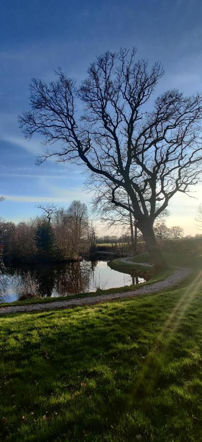 Kingfisher Cabin - Wild Escapes Wrenbury Off Grid Glamping - Ages 12 And Over Baddiley Exterior photo